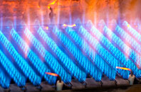 Daubhill gas fired boilers